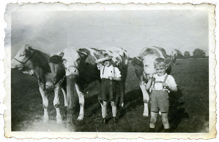 Zwei Jungen in Hattendorf beim Hüten der Kühe, um 1945