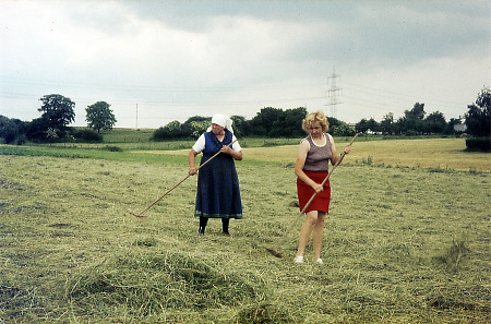Heuwenden in Stadtallendorf, Juni 1974