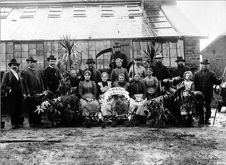 Arbeiterinnen und Arbeiter des fürstlichen Hofgartens in Arolsen, um 1910