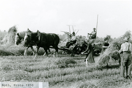 Getreideernte mit einem Getreidebinder in Roth, 1950