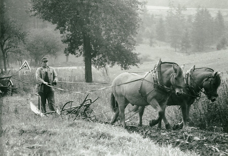 Bauer mit Zweigespann und Einscharpflug in Roth, 1963