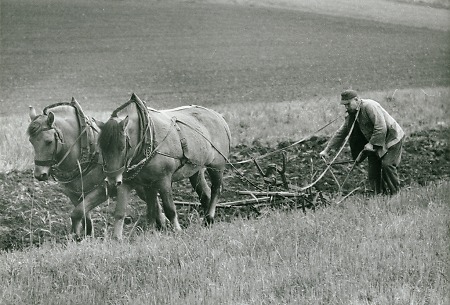 Bauer beim Bestellen des Ackers in Roth, 1963
