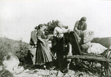 Kartoffelernte in Niederaula, 1940-1942