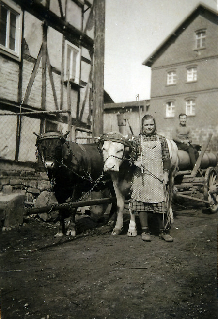 Frau aus Hattenbach beim Jauchefahren mit einem Kuhgespann, um 1944