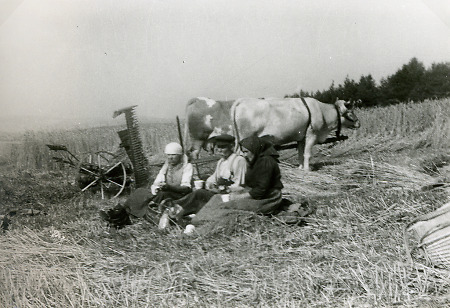 Familie aus Hattenbach bei einer Rast während der Getreidernte, um 1935?