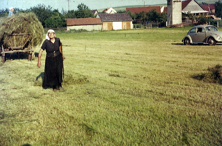Bäuerin bei Kerspenhausen beim Heurechen, um 1965