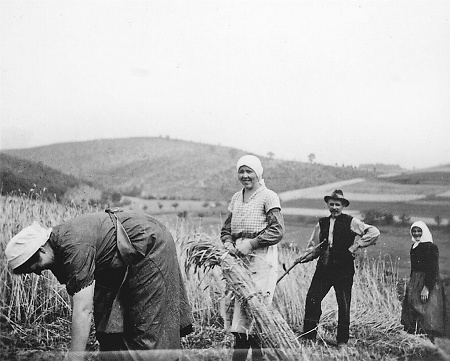 Kornernte in Offdilln, späte 1930er Jahre