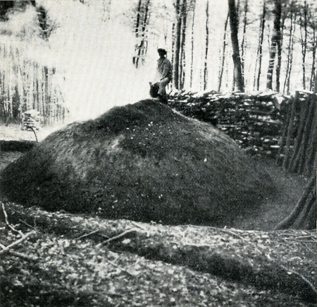 Der Köhler von Günsterode beim Überprüfen eines Meilers, um 1938