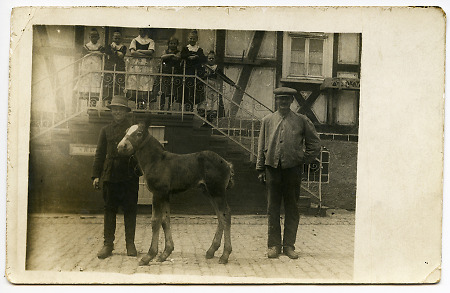 Bauersohn und Knecht mit Fohlen auf einem Hof in Mornshausen, 1915?