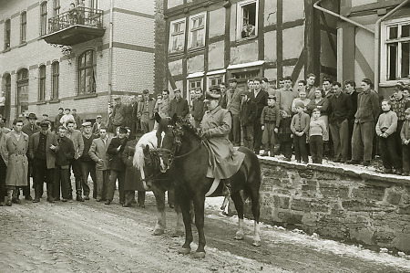 Ankunft von Deckhengsten des Landgestüts Dillenburg in Frankenberg, 20. Februar 1958