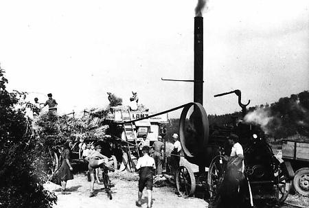 Dreschen mit der Dampfdreschmaschine in Machtlos, 1951