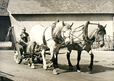 Bauer in Oberdieten auf einer pferdegezogenen Mähmaschine, um 1950/52