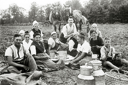Mittagessen auf dem Kartoffelacker bei Hachborn, um 1930