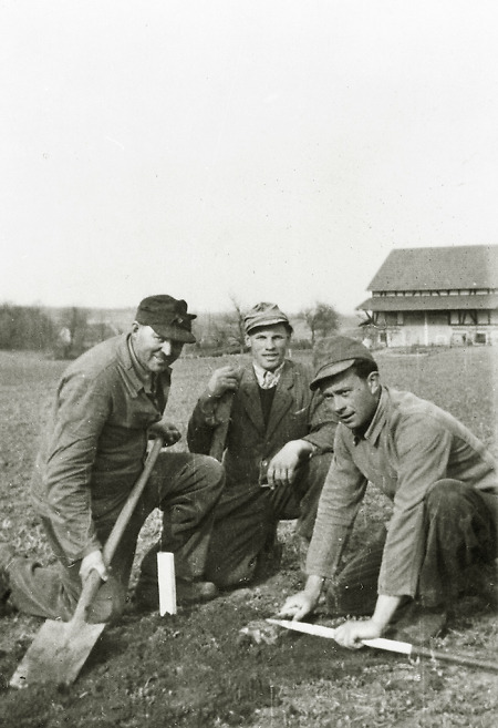 Arbeiten zur Verkoppelung in Hachborn, 1952