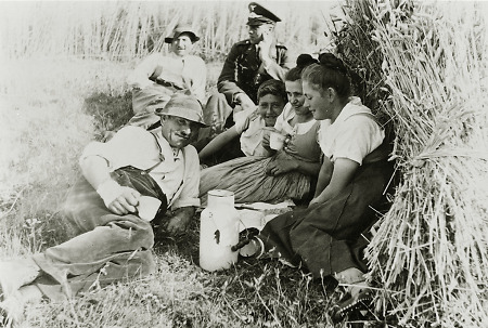 Rast bei der Getreideernte in Hachborn, nach 1936