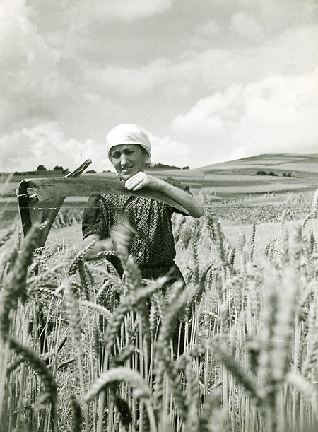 Frau in Medenbach beim Schärfen der Sense zur Getreidemahd, um 1960
