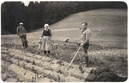 Familie aus Oberdieten beim Kartoffelernten, vor 1939