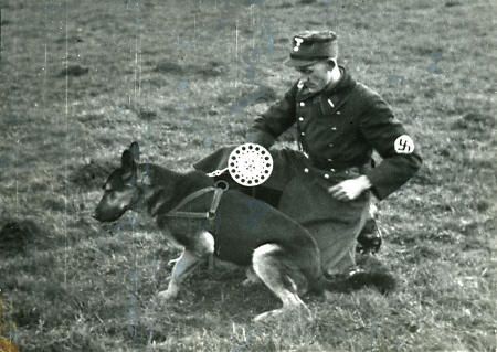 Hund zum Kabelverlegen, 1933-1938