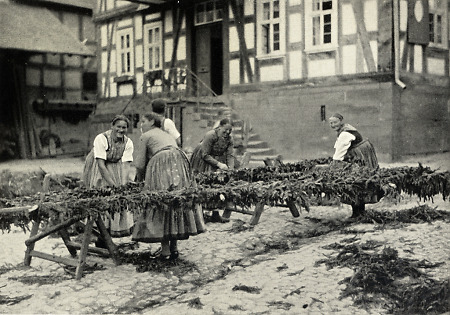 Herrichten der Ehrenpforte in Mardorf, 1936
