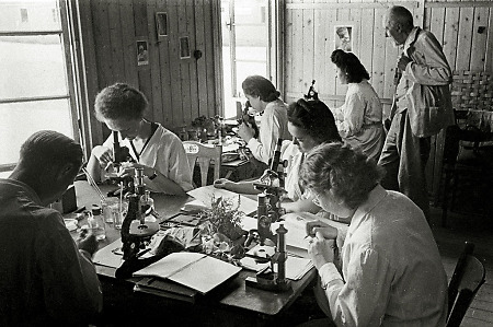 Mikroskopieunterricht an der Universität Gießen, 1947