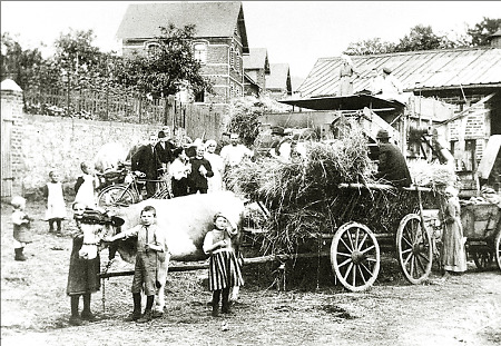 Ochsenfuhrwerk mit Getreidegarben vor einer Dreschmaschine in Herbornseelbach, 1920er Jahre
