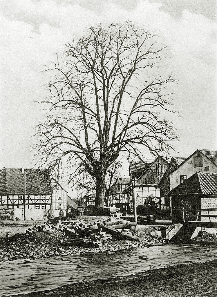 Dorfplatz mit Linde in Vollmarshausen, um 1910