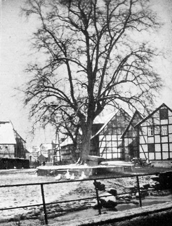 Der Gerichtsplatz in Vollmarshausen, 1935