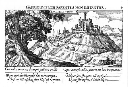 Ansicht von Braunfels, 1628