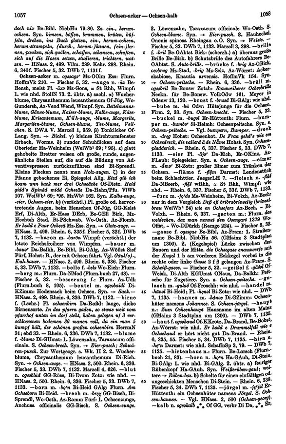 Page View: Volume 4, Columns 1057–1058