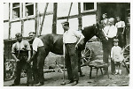 Vorschaubild Beschlagen eines Pferdes mit neuen Eisen in (Stadt-)Allendorf, um 1925