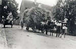 Vorschaubild Erntewagen in Queckborn 'Im Schnepfenhain'. 1928