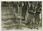 Vorschaubild Schulmädchen beim Unterricht im Garten auf den Neuhöfen, um 1935