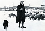 Vorschaubild Der Büdesheimer Schäfer mit seiner Herde, 1950-1959