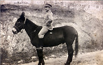 Vorschaubild Deutscher Soldat (vermutlich aus Haubern) auf einem Maultier in Tsingtau, 1913