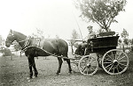 Vorschaubild Junger Soldat aus Hachborn als Kutschenfahrer, vor 1914