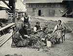 Vorschaubild Blumenbinden zu Fronleichnam in Mardorf, 1936