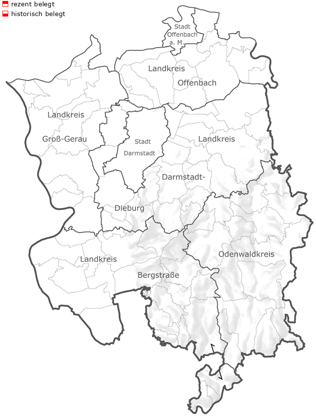 Übersichtskarte Südhessen