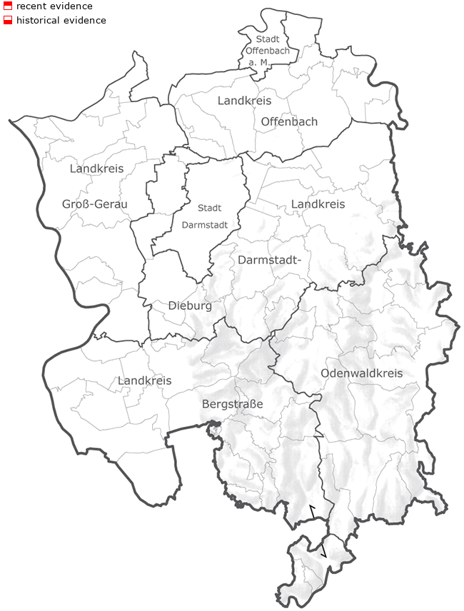 Outline map of Southern Hesse