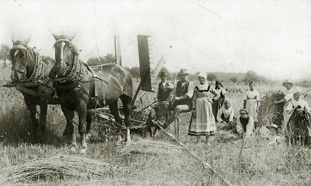 Erntearbeiten in Rollshausen, 1920er Jahre