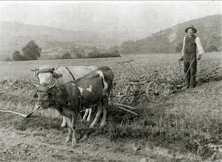 Landwirt aus Kirchvers beim Pflügen, um 1920?
