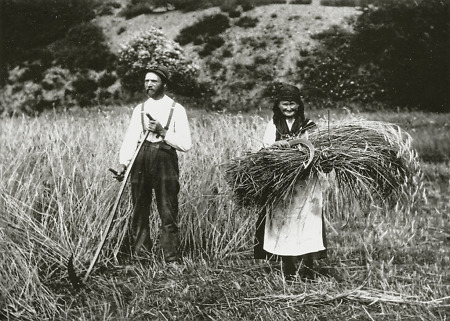 Ehepaar bei der Getreideernte in Kirchvers, 1930