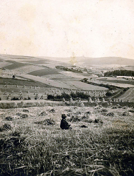Sommerliche Feldgemarkung mit Blick auf Friedigerode, 1931