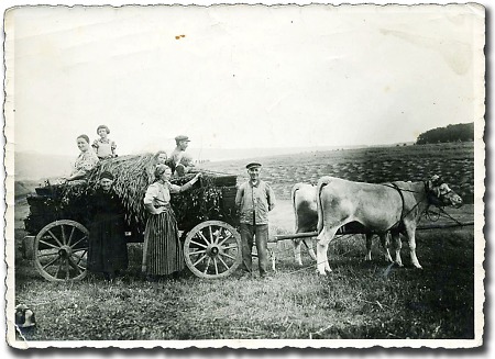 Familie in Olberode bei der Ernte, 1938