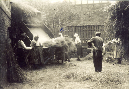 Arbeiten während eines Dreschtags in Christerode, um 1925