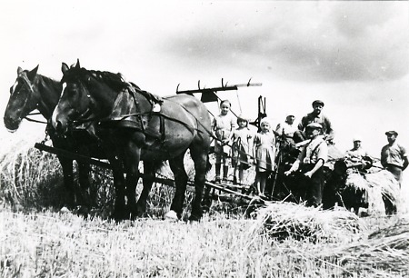 Getreidebinder mit den FeldarbeiterInnen in (Stadt-)Allendorf, 1949