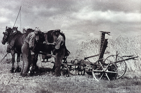 Zwei Männer in Queckborn mit einer pferdegezogenen Mähmaschine, um 1930?