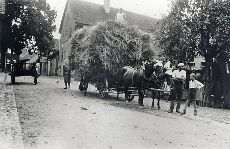 Erntewagen in Queckborn 'Im Schnepfenhain'. 1928, undatiert