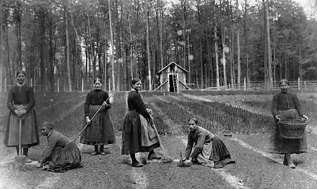 Frauen im Forstpflanzgarten bei Queckborn, um 1910?