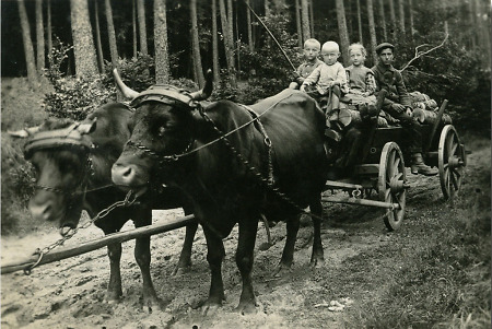 Familie in Wetterburg beim Holzholen, 1922