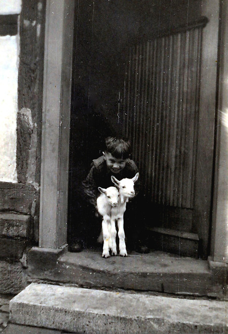 Junge in Wetterburg mit zwei jungen Ziegen, 1955